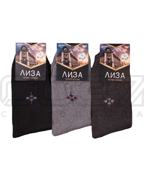 Термо-носки мужские Лиза №4 1-A6017-2 (с махрой)